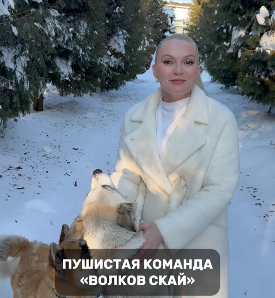 Классный отель, где уровень сервиса определяет хаски 😌